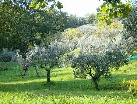 Ville San Gregorio Bettona